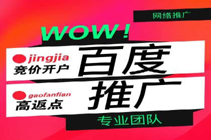 百度竞价代运营公司助力企业实现ROI最大化
